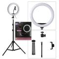Smart Light with Stand