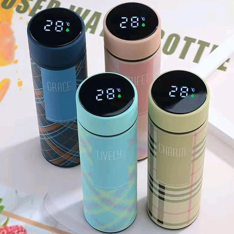 LED Temperature Display Water Bottle