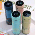 LED Temperature Display Water Bottle