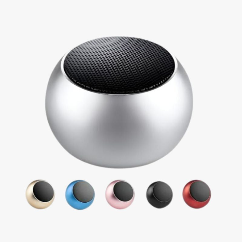 Smart Mini Speaker