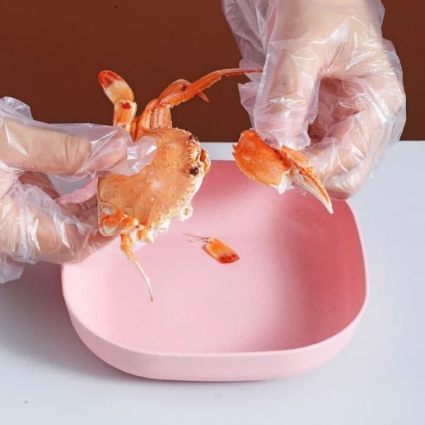 Plastic Household Dining Plates