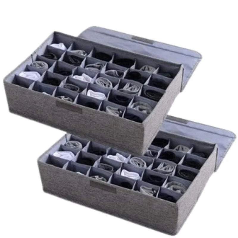 Storage Organizer with Lid