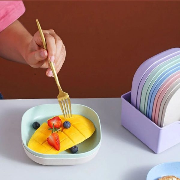 Plastic Household Dining Plates