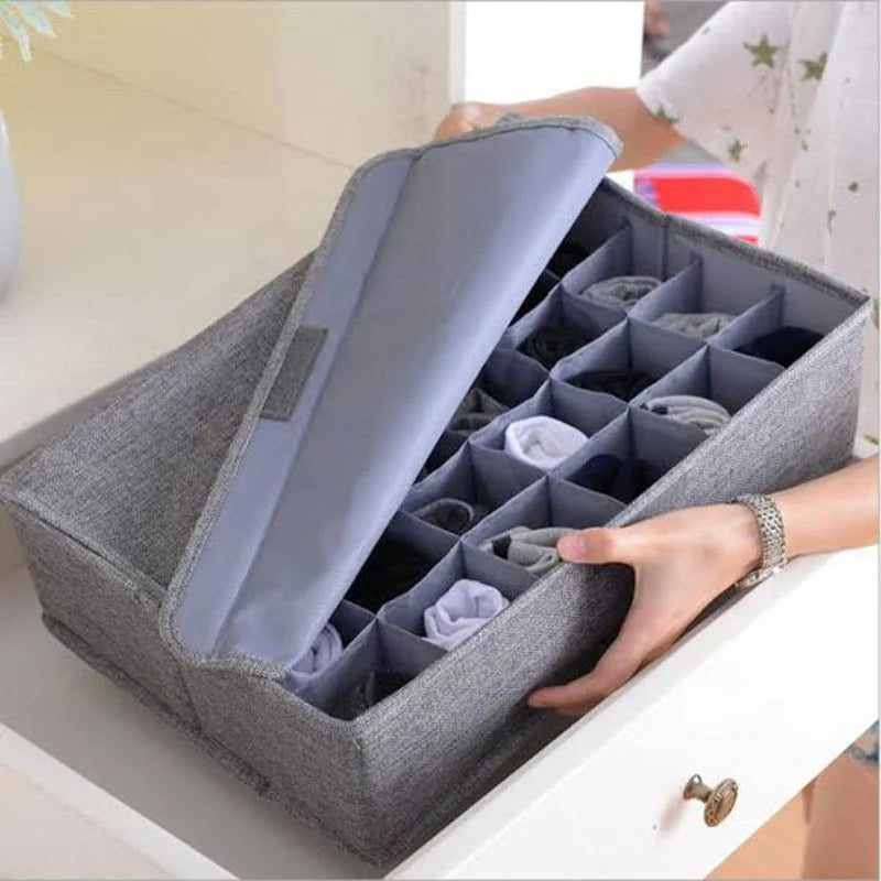 Storage Organizer with Lid